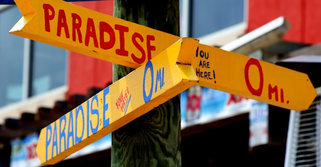 Qual o seu propósito de vida: encontre significado na simplicidade